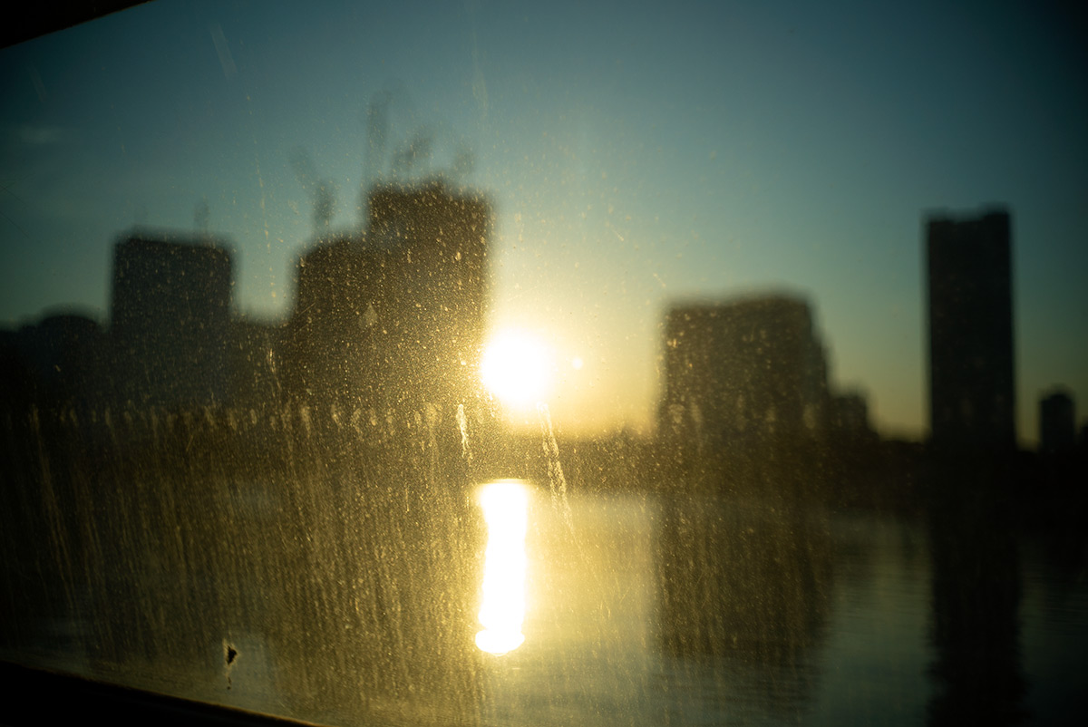 浜離宮 w/ CANON LENS 35mm f:1.8 - 2019年1月19日撮影