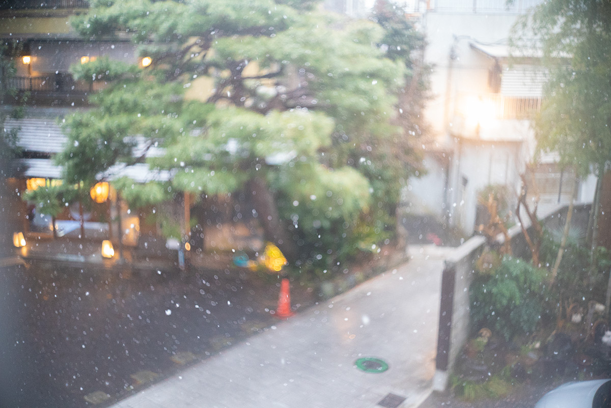 湯河原 w/ CANON LENS 35mm f:1.8 - 2019-02-09