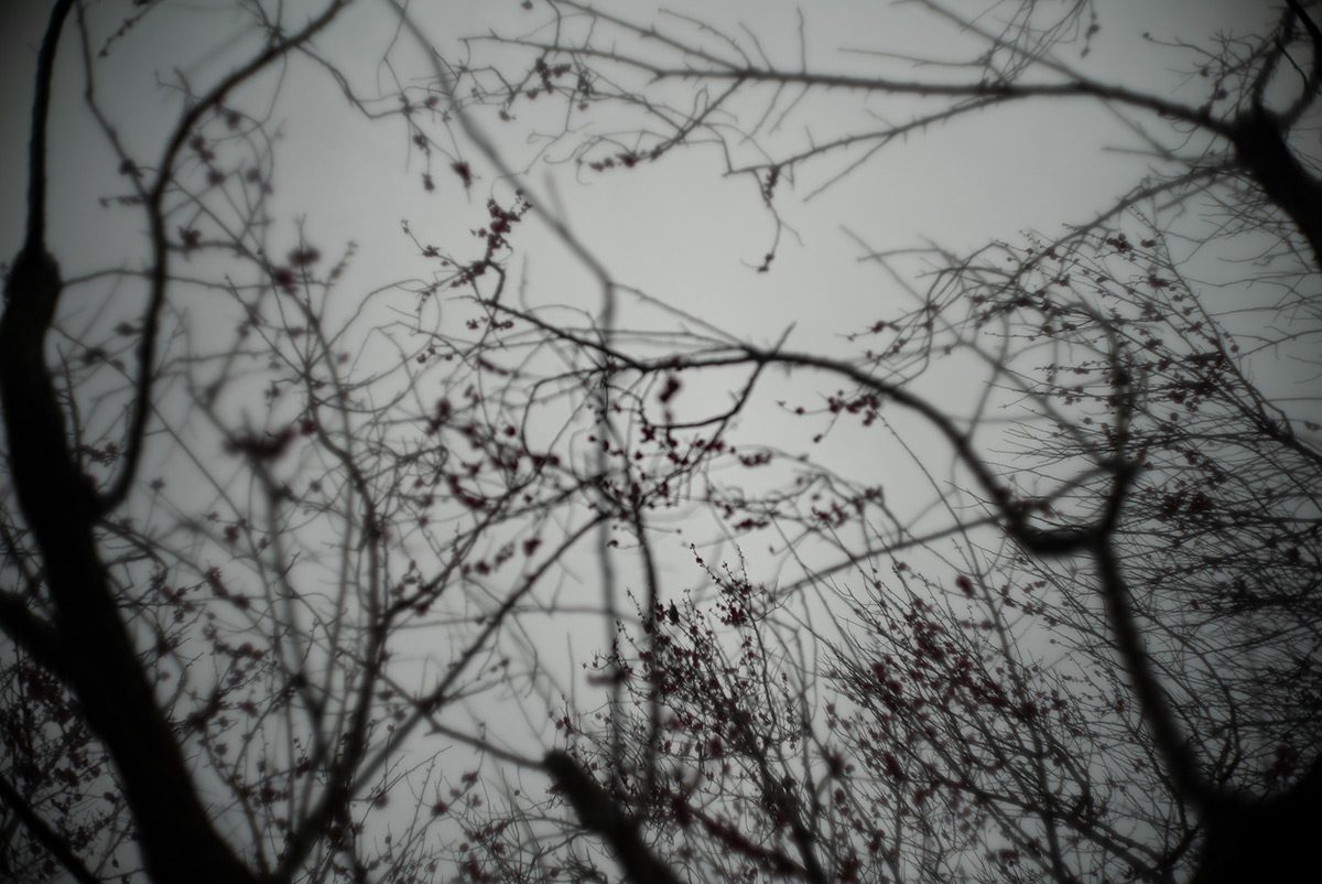 湯河原 w/ CANON LENS 35mm f:1.8 - 2019年2月9日撮影