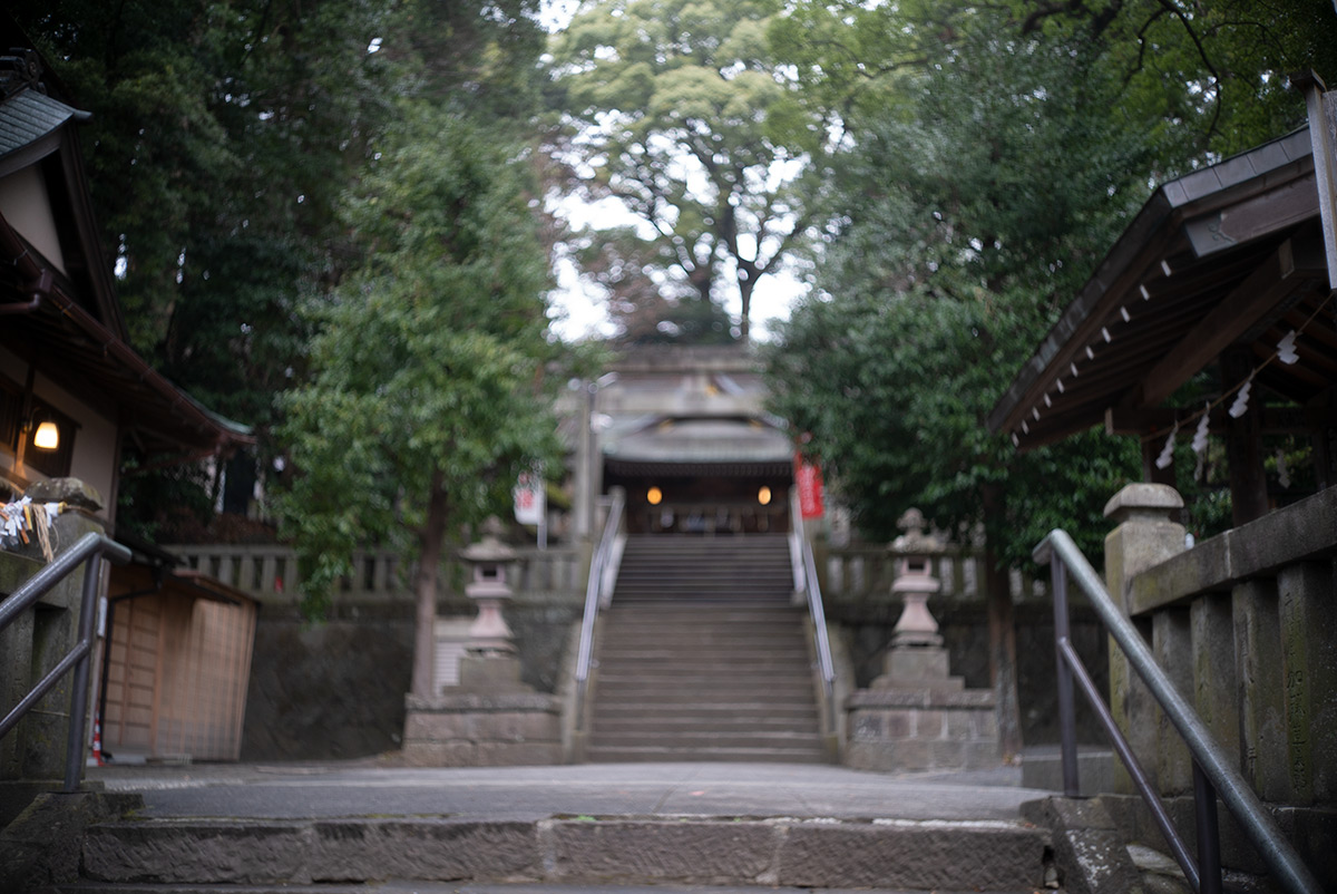 湯河原 w/ CANON LENS 35mm f:1.8 - 2019年2月9日撮影