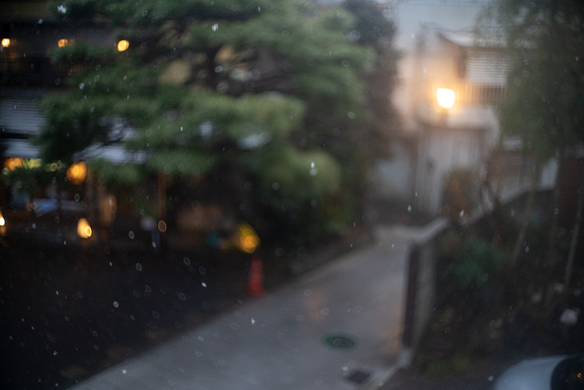 湯河原 w/ CANON LENS 35mm f:1.8 - 2019年2月9日撮影