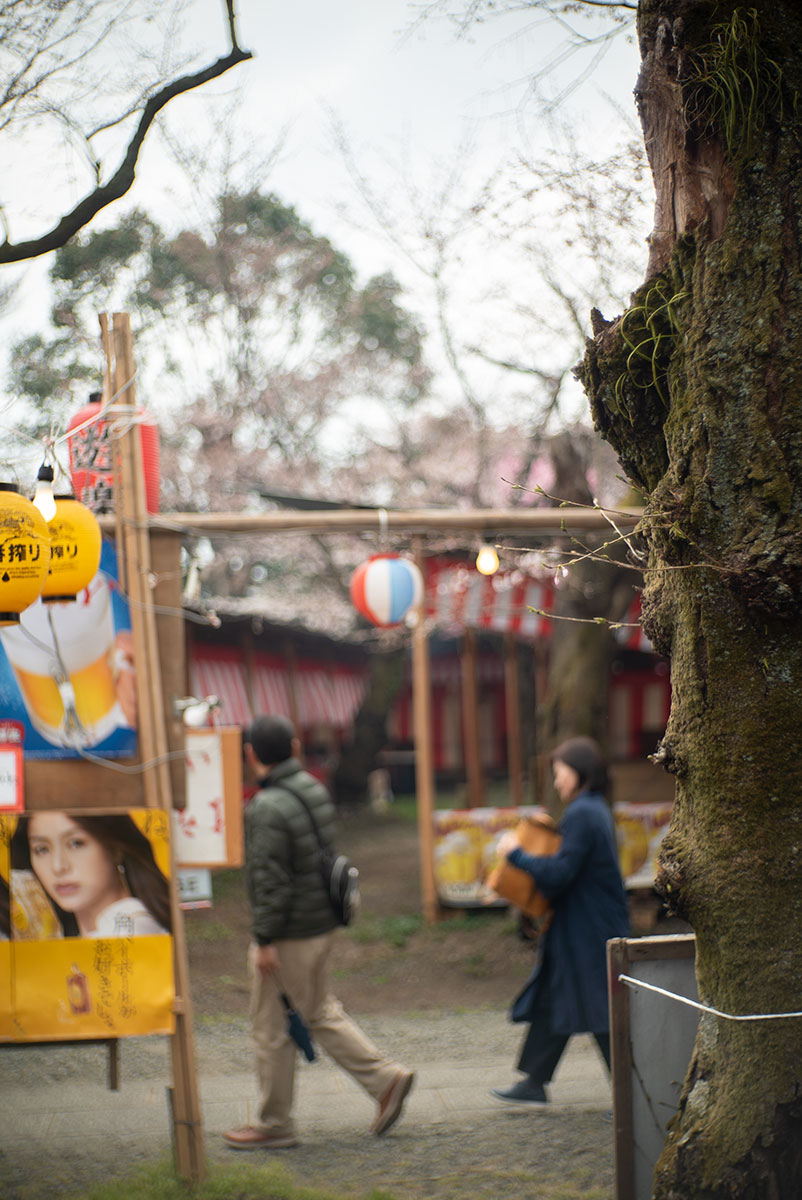 京都 w/ ZUNOW 5cm 1.8 - 2019年3月30日撮影