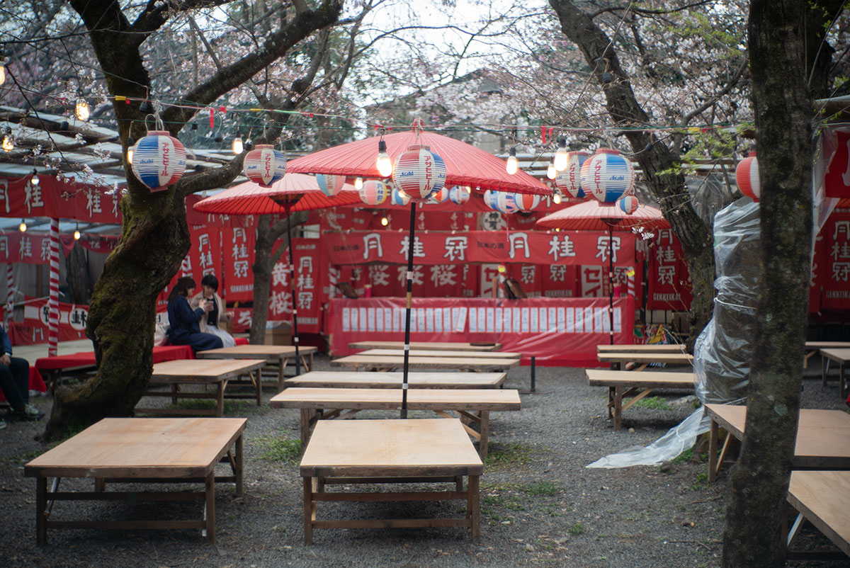 京都 w/ ZUNOW 5cm 1.8 - 2019年3月30日撮影