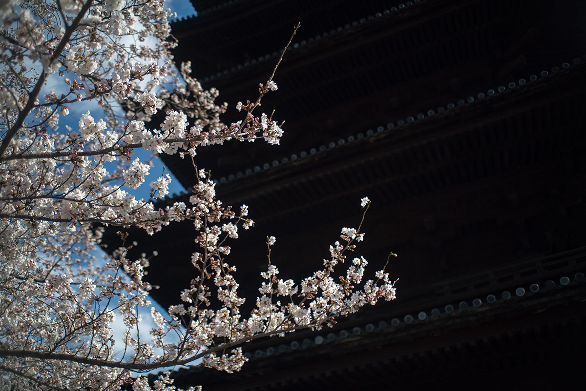 京都 w/ Soligor 35mm f=2.8 - 2019-03-31