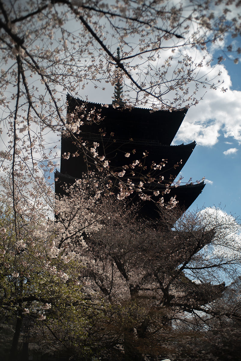 京都 w/ Soligor 35mm f=2.8 - 2019年3月31日撮影