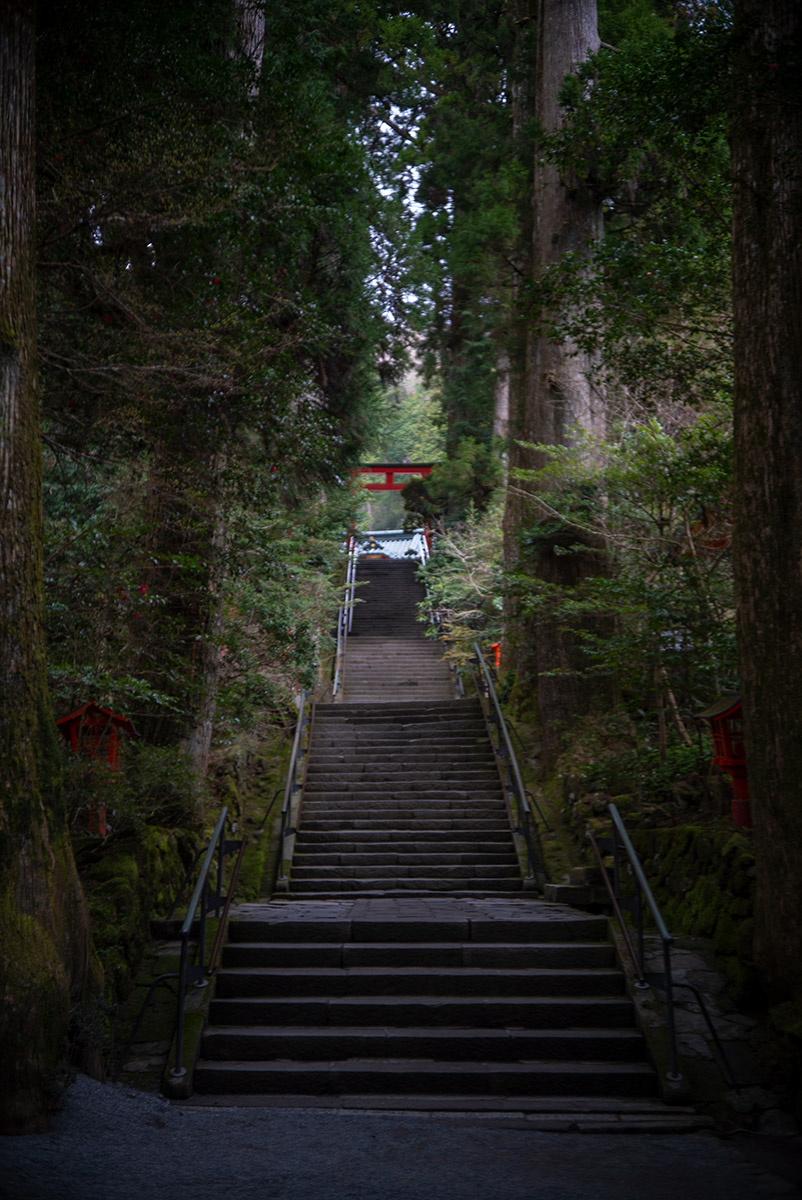 箱根神社 w/ BIOKOR-S 1:1.9 f=45mm F.C. - 2019年4月20日撮影