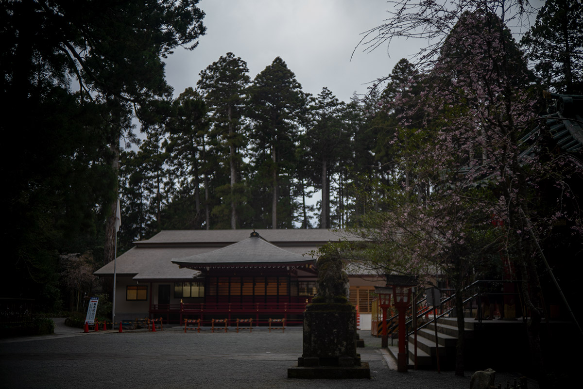 箱根神社 w/ BIOKOR-S 1:1.9 f=45mm F.C. - 2019年4月20日撮影
