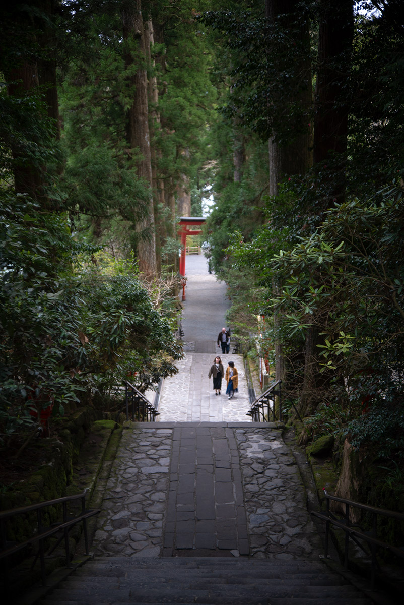 箱根神社 w/ BIOKOR-S 1:1.9 f=45mm F.C. - 2019年4月20日撮影
