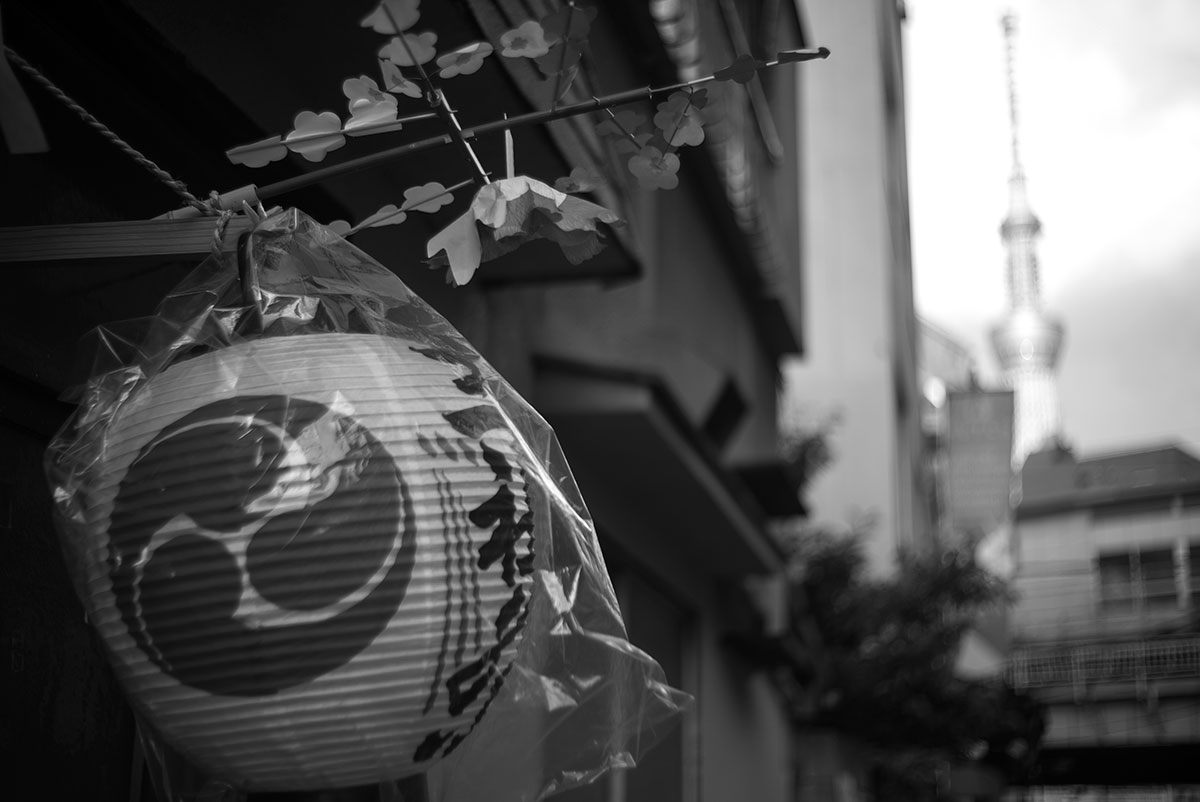 三社祭 w/ AGFA SOLAGON 1:2/50 - 2019年5月19日撮影