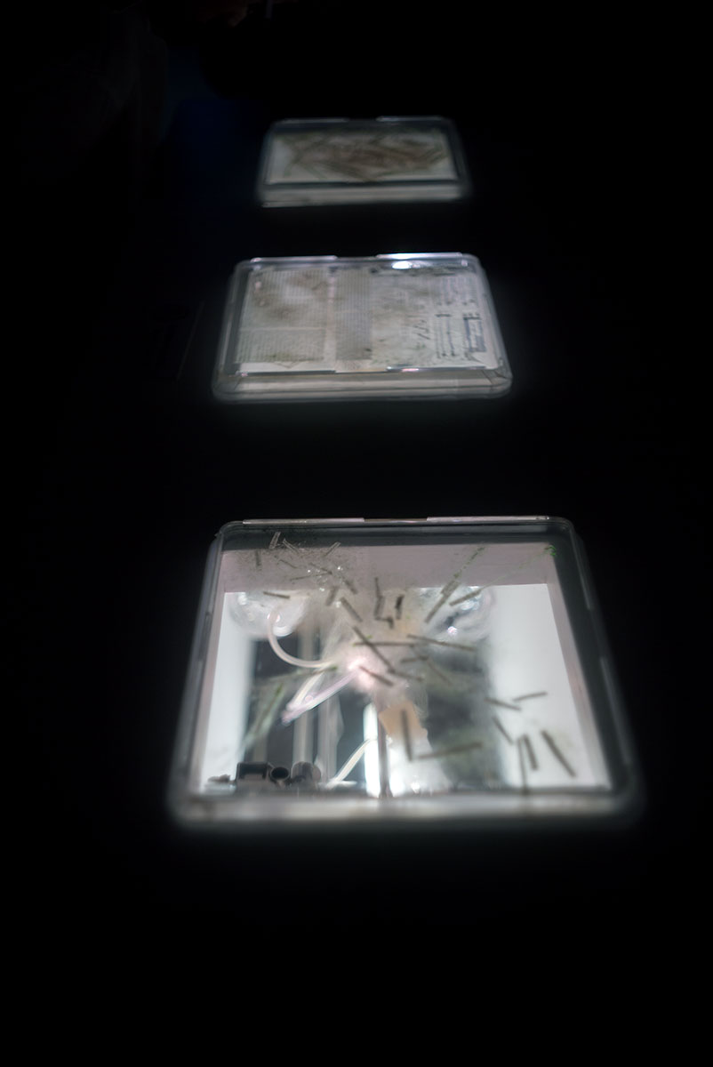 文化庁メディア芸術祭 w/ COLOR-YASHINON DX 1:1.8 f=35mm - 2019年6月2日撮影