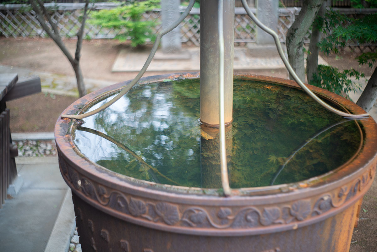 本土寺 w/ AGFA SOLAGON 1:2/50 - 2019年6月9日撮影