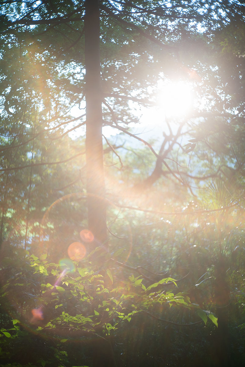愛川夏祭り w/ Olympus G.Zuiko 1:1.8 f=4.2cm - 2019年8月25日撮影