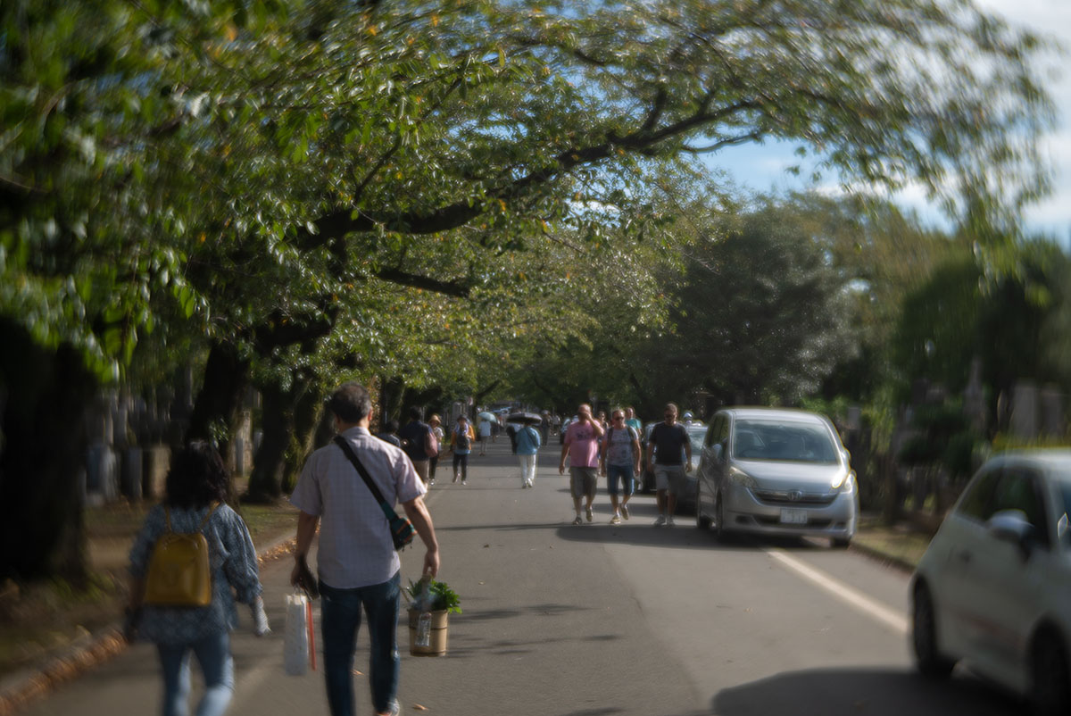 谷中 w/ Hugo Meyer & Co - Goerlitz Kinon III 60mm - 2019-09-23