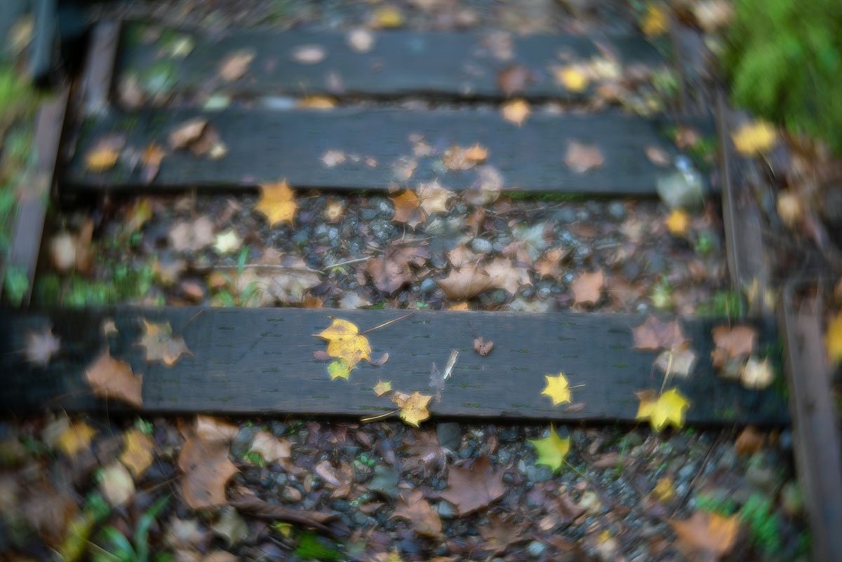 日光 w/ Hugo Meyer & Co - Goerlitz Kinon III 60mm - 2019年10月30日撮影