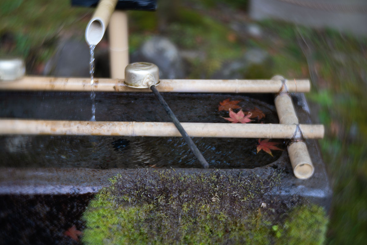 日光 w/ Hugo Meyer & Co - Goerlitz Kinon III 60mm - 2019年10月30日撮影