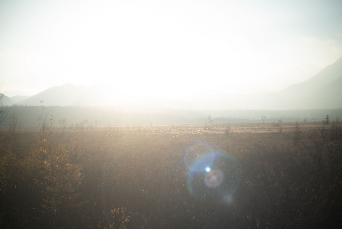 日光 w/ Kodak Ektar 47mm f:2 - 2019年10月31日撮影