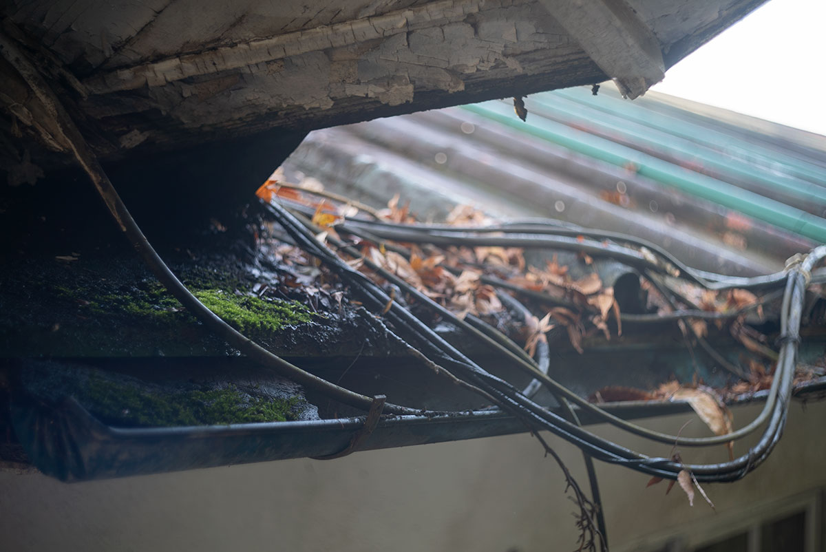 日光 w/ Kodak Ektar 47mm f:2 - 2019年10月31日撮影