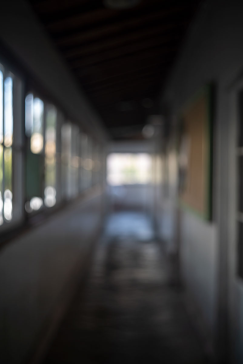 日光 w/ Kodak Ektar 47mm f:2 - 2019年10月31日撮影