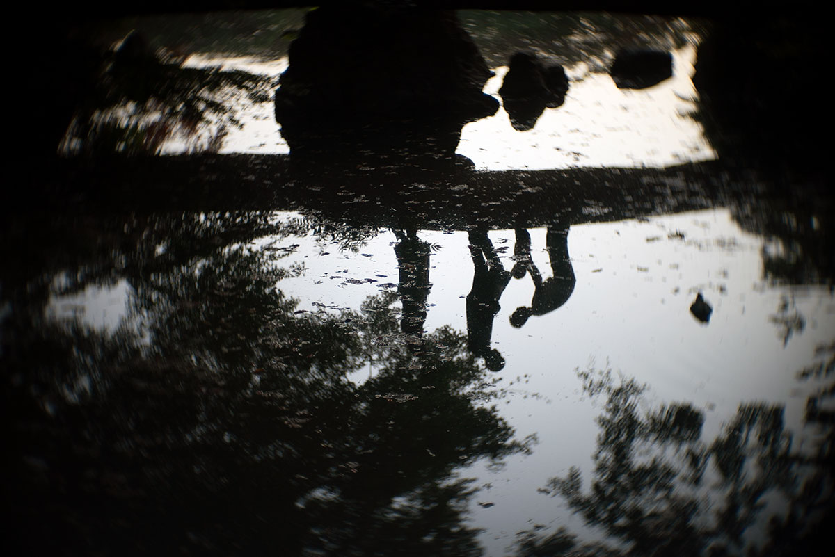 六義園 w/ Angenieux - F=50mm 1:1.5 - 2019-11-10