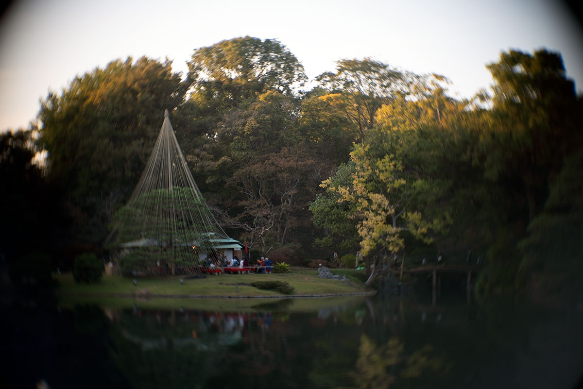 六義園 w/ Angenieux F=50mm 1:1.5 - 2019年11月10日撮影