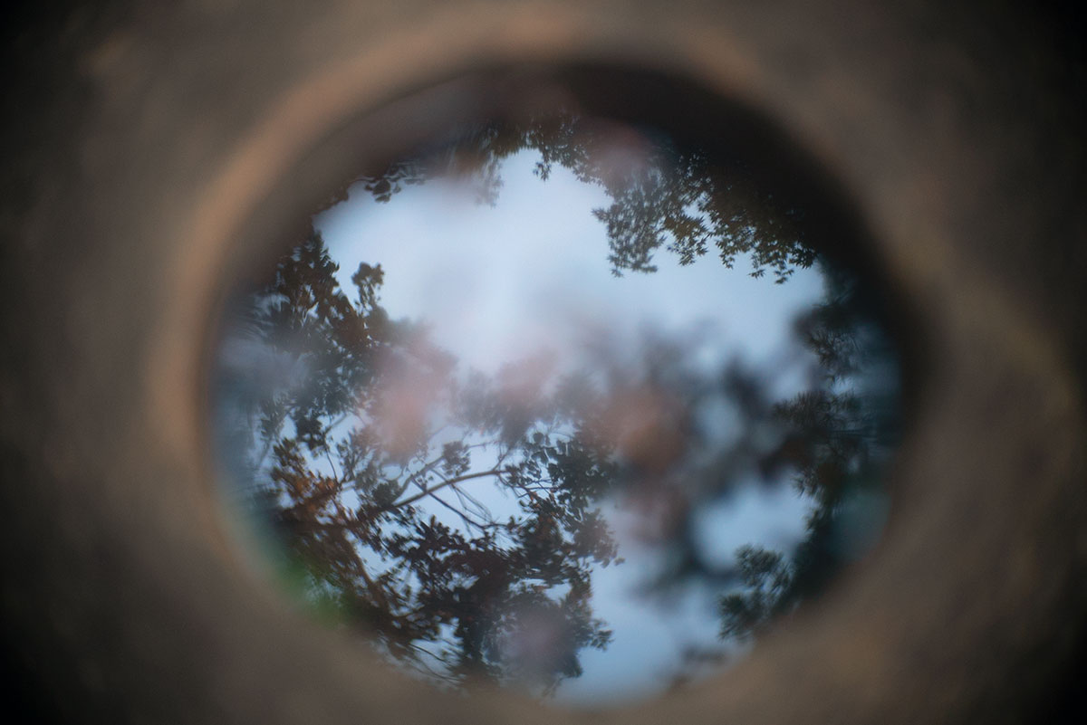 六義園 w/ Angenieux F=50mm 1:1.5 - 2019年11月10日撮影