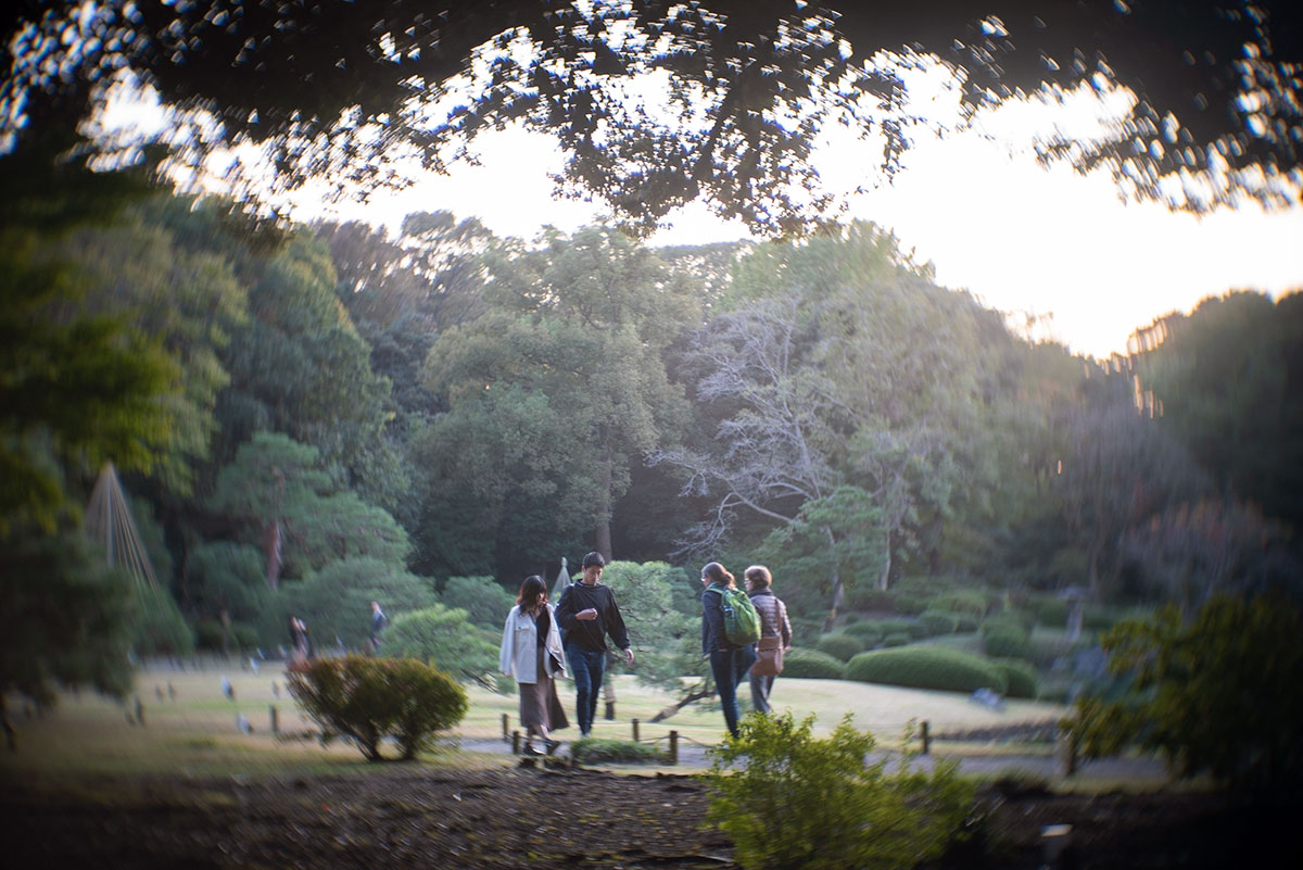六義園 w/ Angenieux F=50mm 1:1.5 - 2019年11月10日撮影