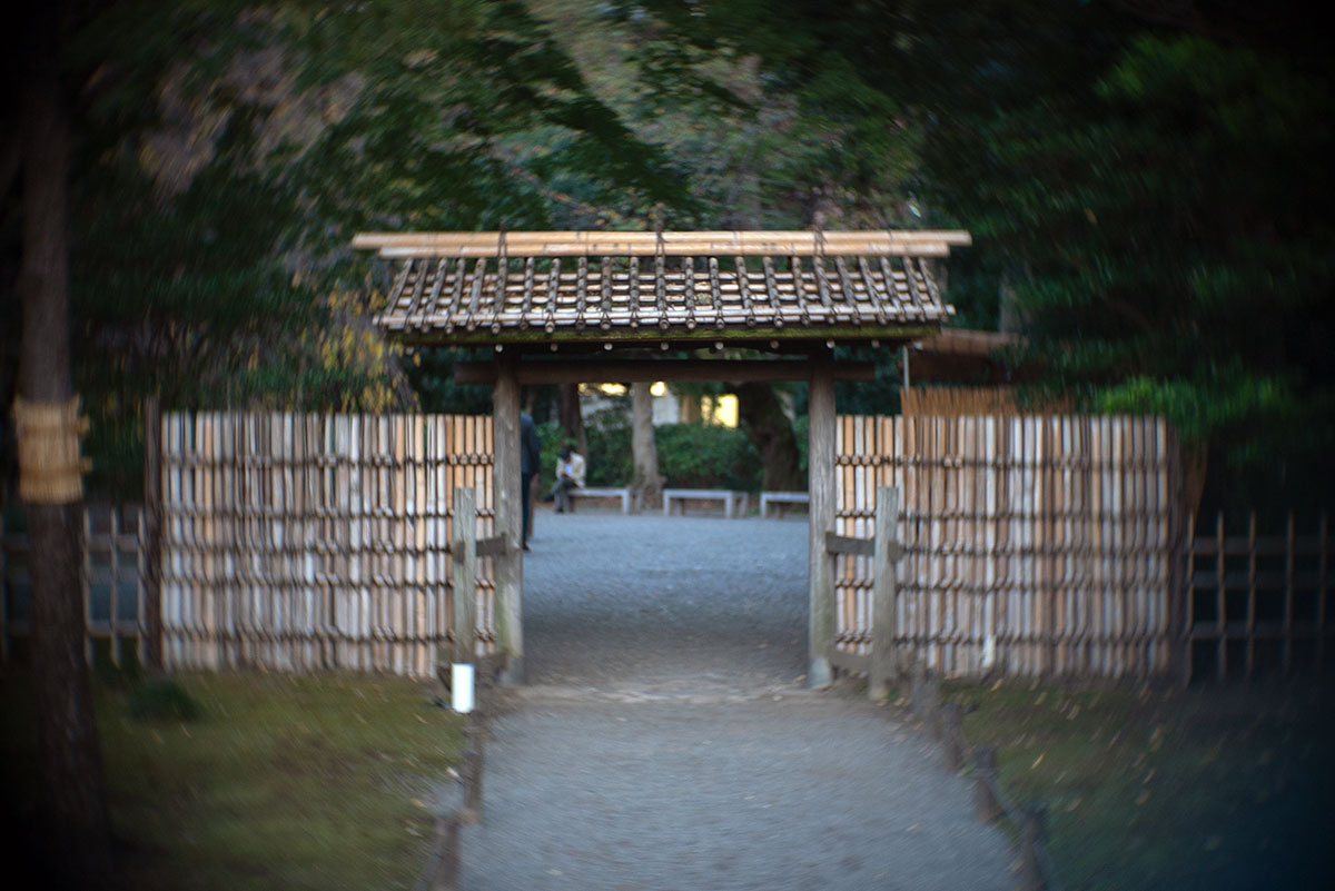 六義園 w/ Angenieux F=50mm 1:1.5 - 2019年11月10日撮影