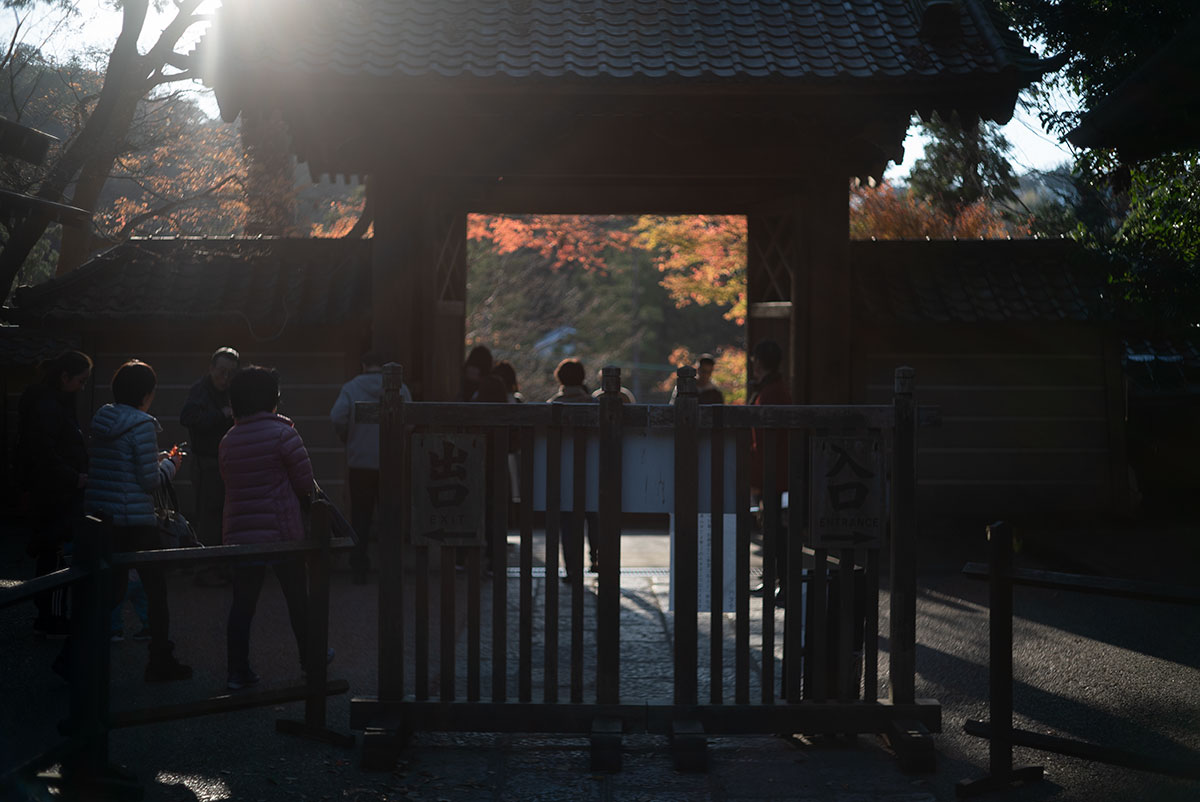 横浜、鎌倉 w/ Konishiroku Hexanon 1:1.8 f=50mm - 2019年12月14日撮影