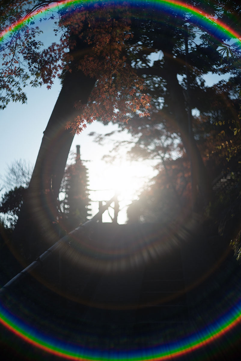 横浜、鎌倉 w/ Konishiroku Hexanon 1:1.8 f=50mm - 2019年12月14日撮影