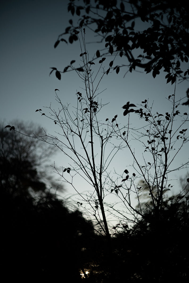 横浜、鎌倉 w/ Konishiroku Hexanon 1:1.8 f=50mm - 2019年12月14日撮影