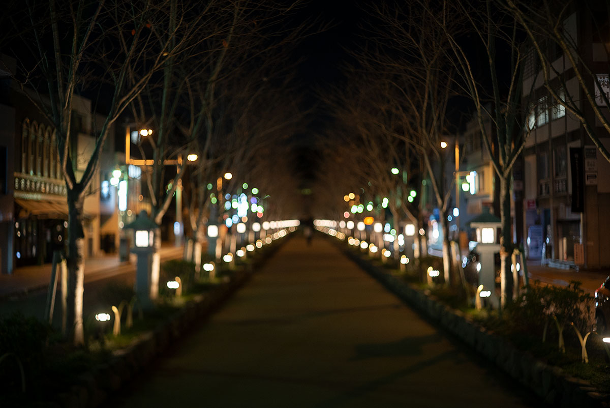 横浜、鎌倉 w/ Konishiroku Hexanon 1:1.8 f=50mm - 2019年12月14日撮影