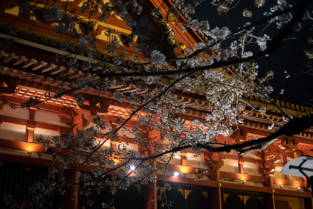 浅草寺の桜 w/ AUTO MIRANDA EC 1:1.8 f=50mm - 2020-03-27