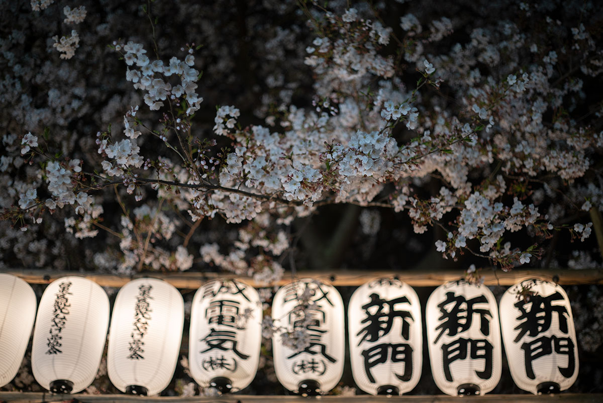 AUTO MIRANDA EC 1:1.8 f=50mm で浅草寺の桜を撮影