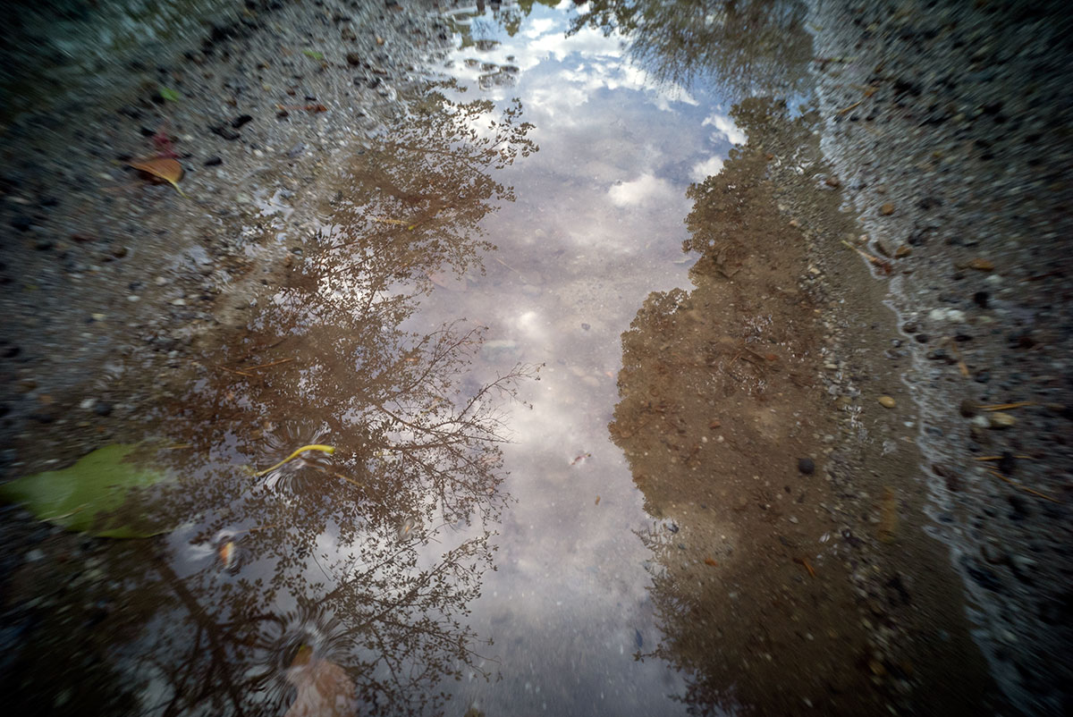 GIZMON Wtulens f=17mm 1:16 で墨田区を撮影