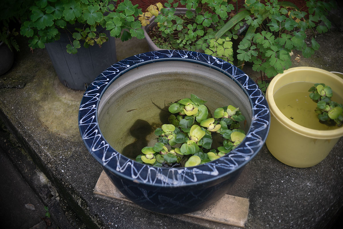 F.Zuiko Auto-S E 1:1.2.8 f=38mm で隅田公園を撮影