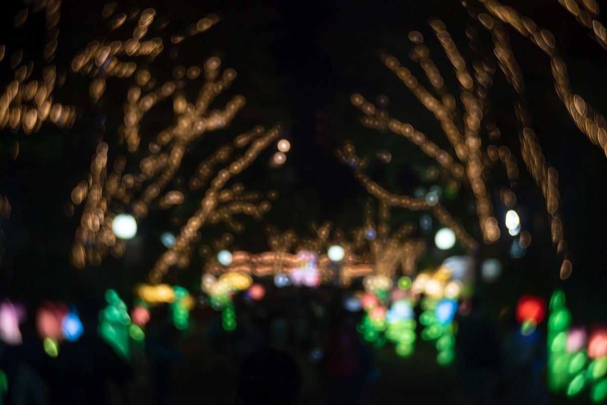 Hugo Meyer & Co - Goerlitz Kinon III 60mm で、閉店間近のとしまえんを撮影