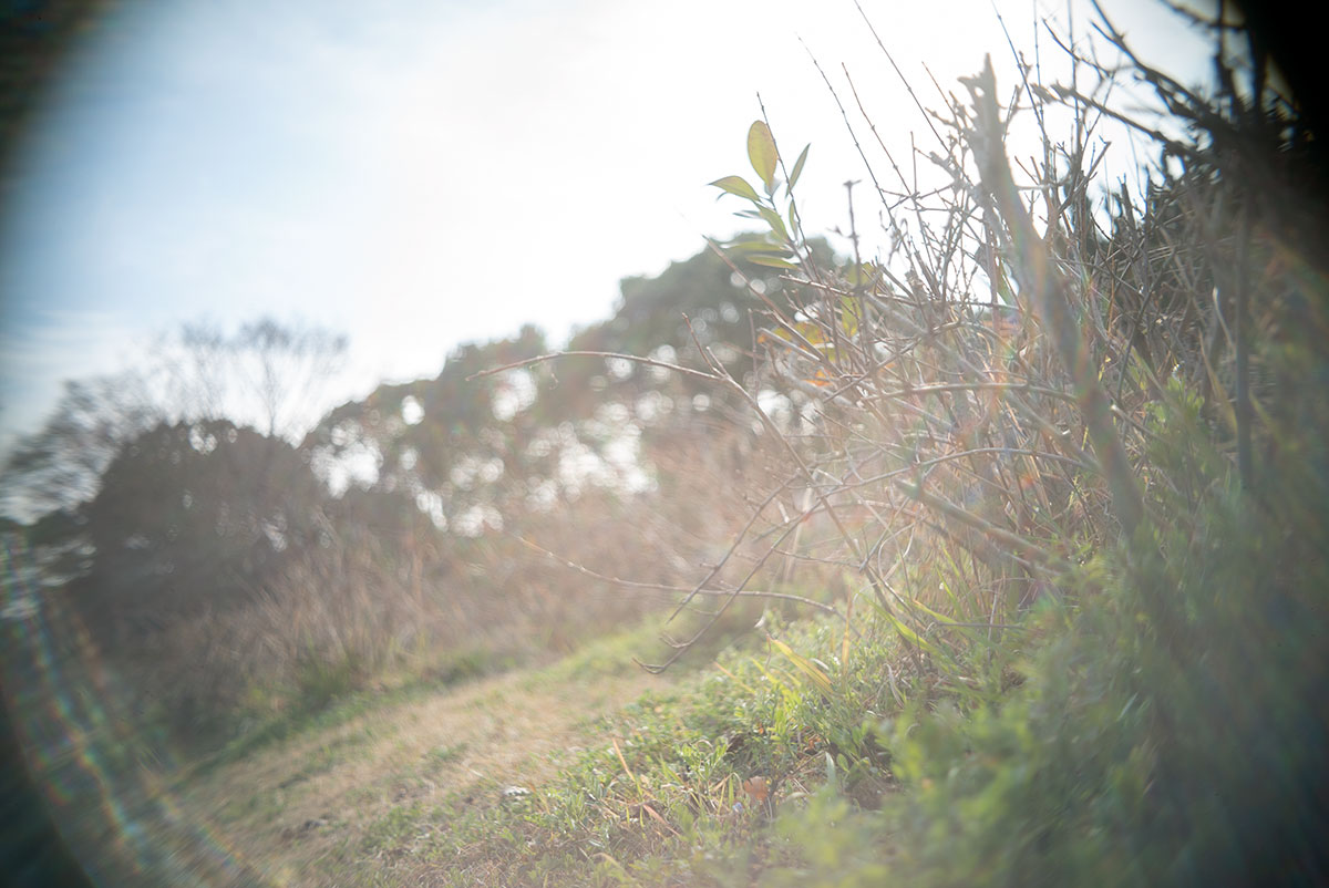 Olympus D.Zuiko 1:2.8 f=3.5cm で、江東区と台東区を撮影。