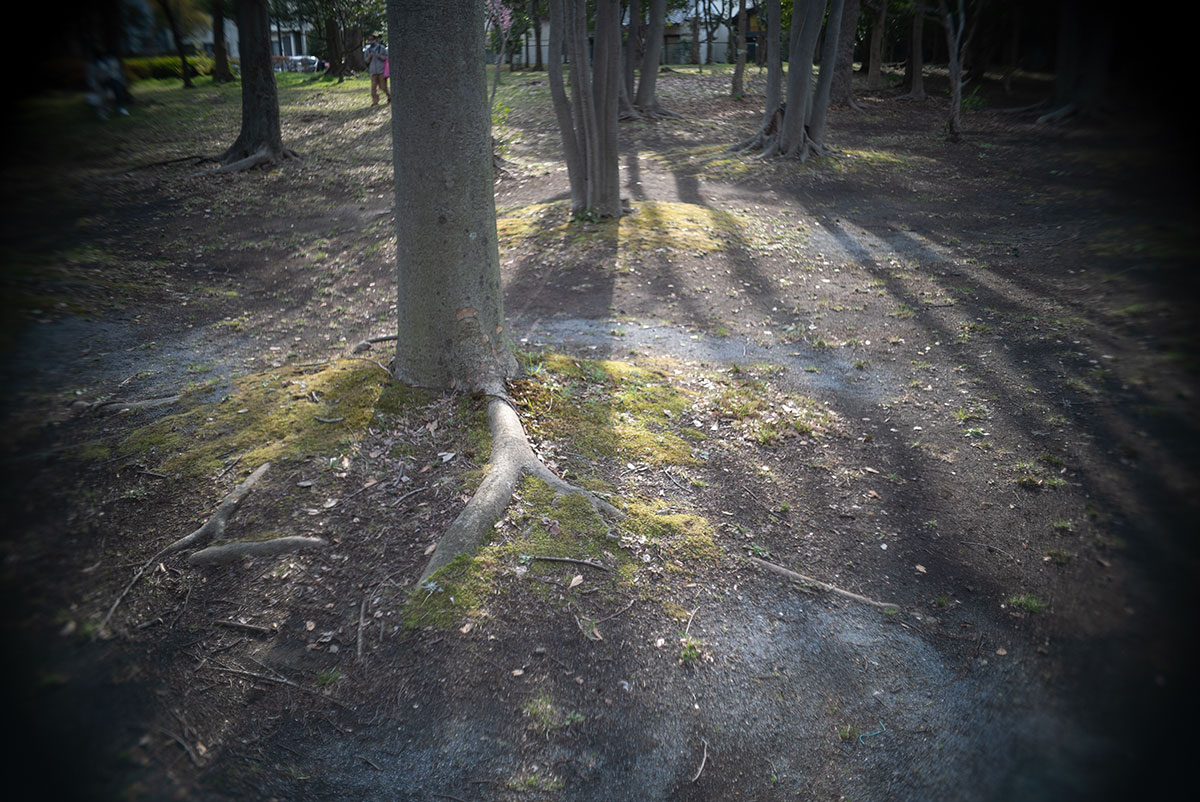 Olympus D.Zuiko 1:2.8 f=3.5cm で、江東区と台東区を撮影。