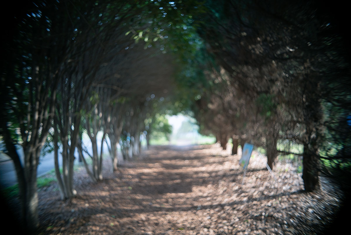 Olympus D.Zuiko 1:2.8 f=3.5cm で、江東区と台東区を撮影。