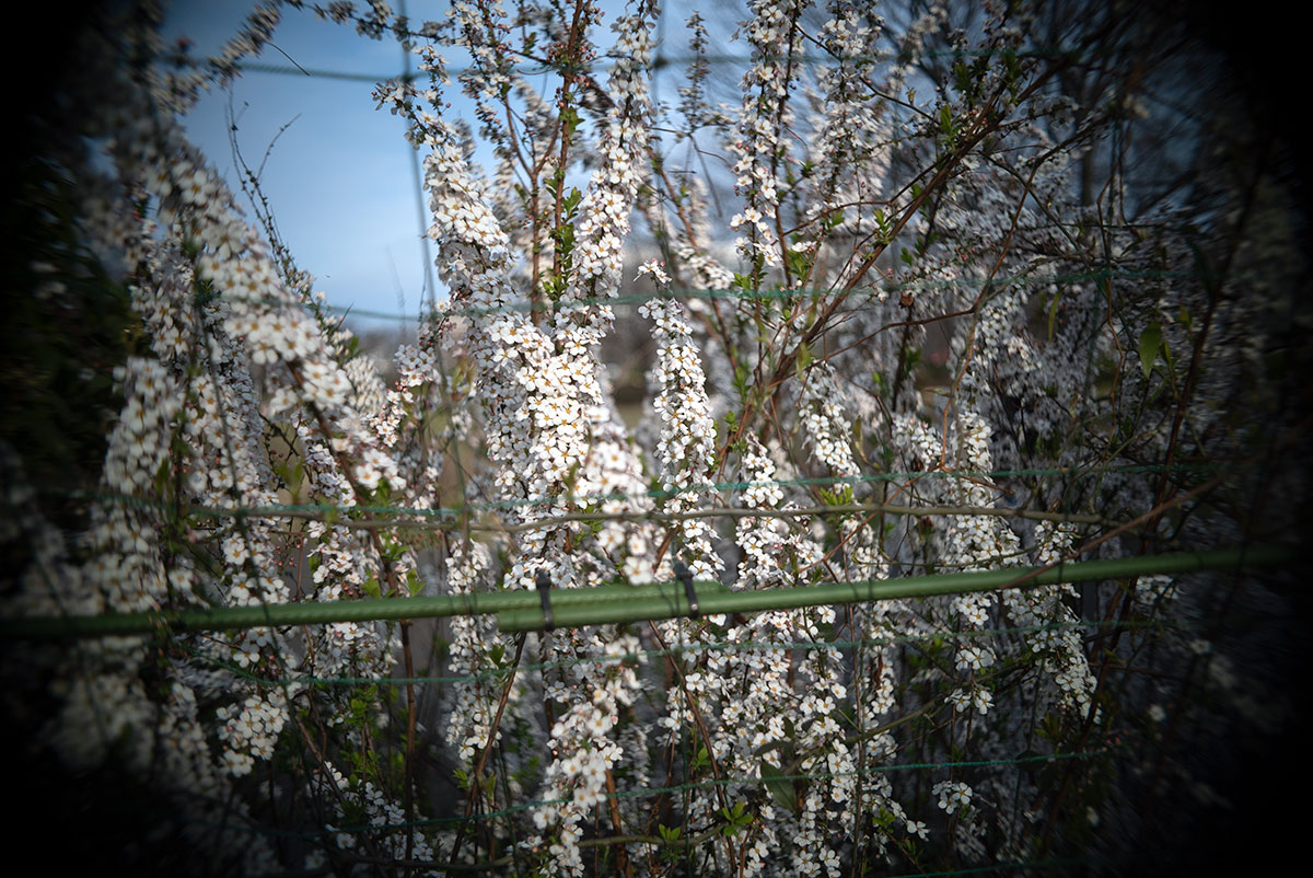 Olympus D.Zuiko 1:2.8 f=3.5cm で、江東区と台東区を撮影。