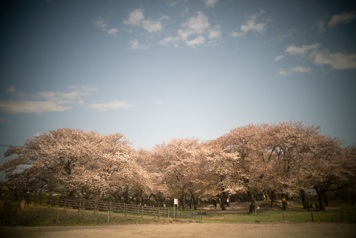 愛川町 w/ Meopta Largor 1:6.8 f=30mm - 2021-04-03