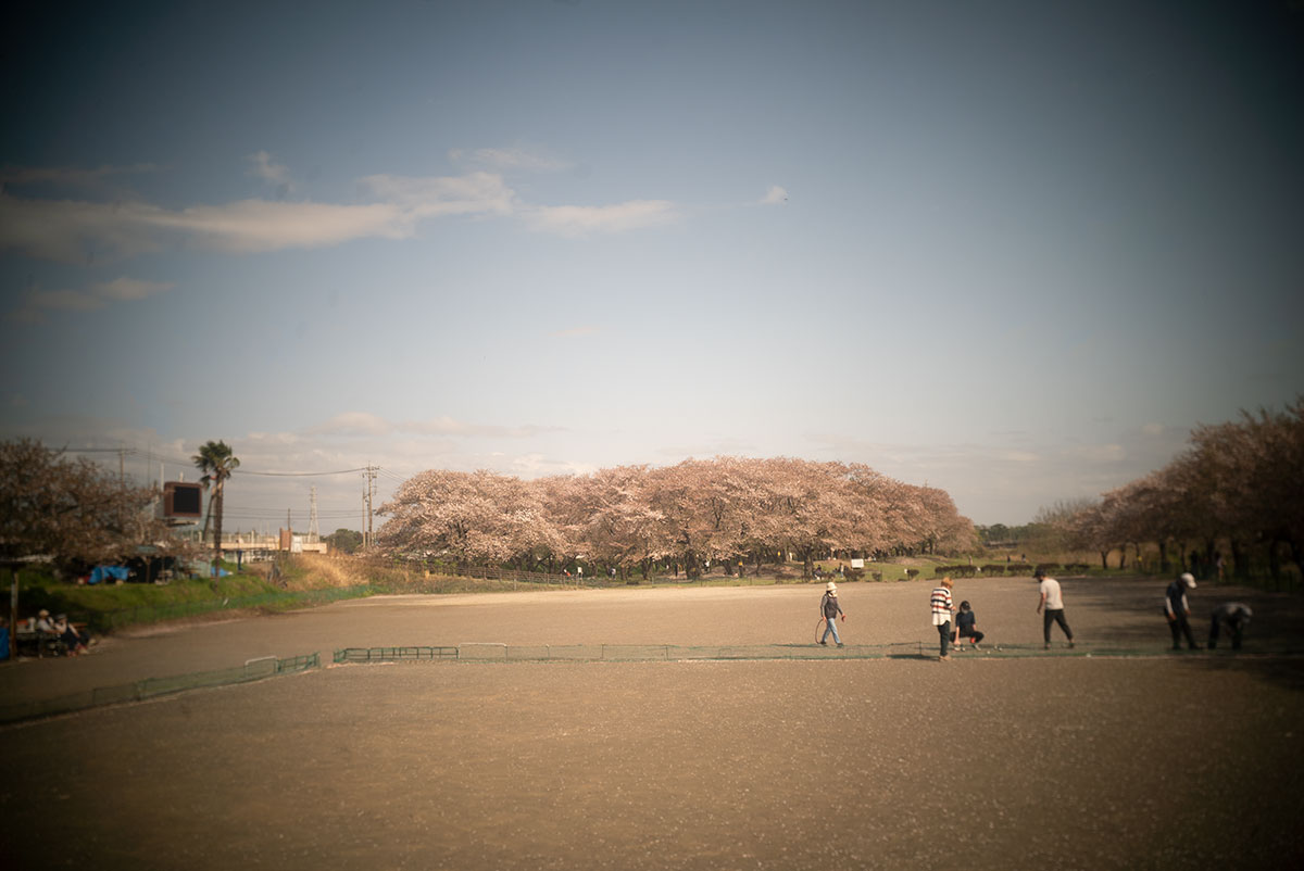 Meopta Largor 1:6.8 f=30mm で愛川町を撮影。