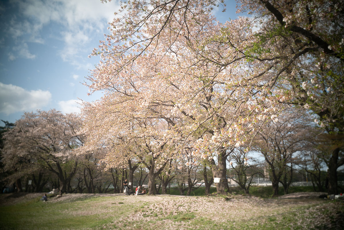 Meopta Largor 1:6.8 f=30mm で愛川町を撮影。