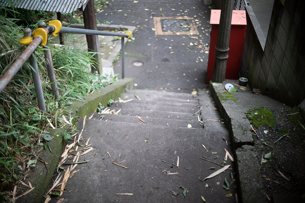 WALZ WALZER 1:1.9 f=4.5cm で谷根千を撮影。