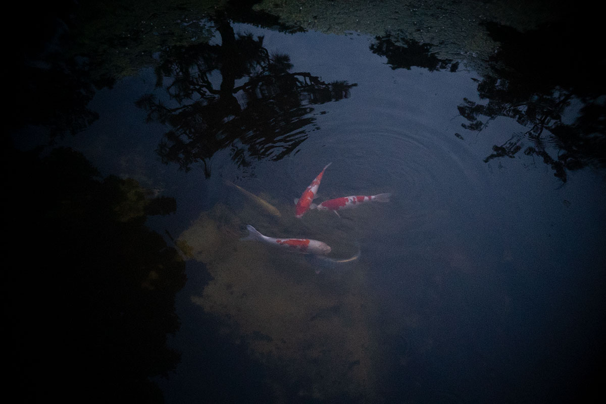 H.ROUSSEL PARIS KYNOR 1:3.5 で蒲郡クラシックホテルを撮影。