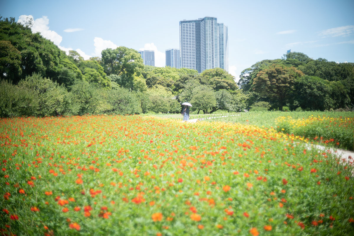 WALZ WALZER 1:1.9 f=4.5cm で浜離宮を撮影。