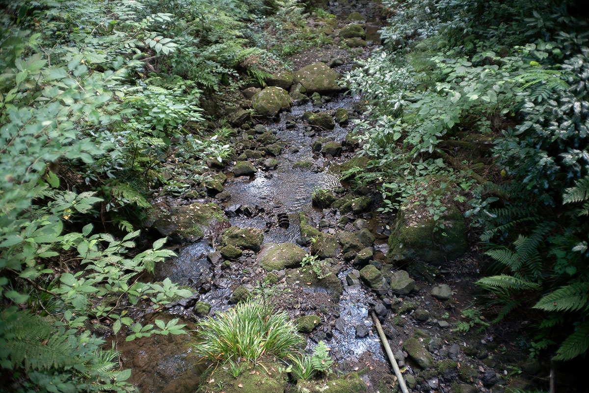 Kowa Optical Works Prominar F.C. 1:2.8 f=35mm で愛川町を撮影。