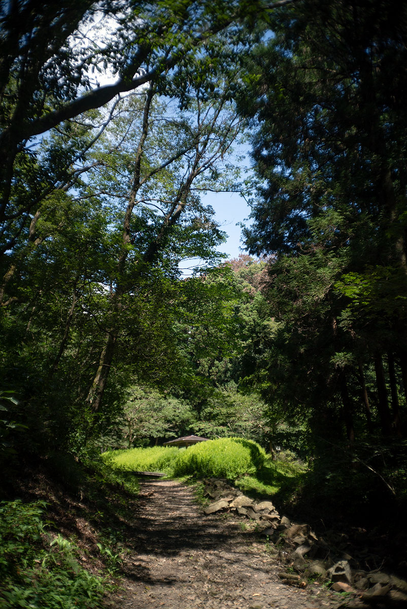 Kowa Optical Works Prominar F.C. 1:2.8 f=35mm で愛川町を撮影。