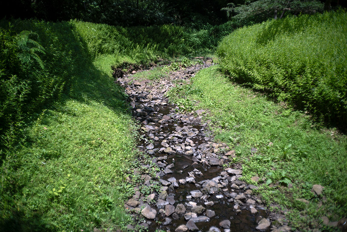 Kowa Optical Works Prominar F.C. 1:2.8 f=35mm で愛川町を撮影。