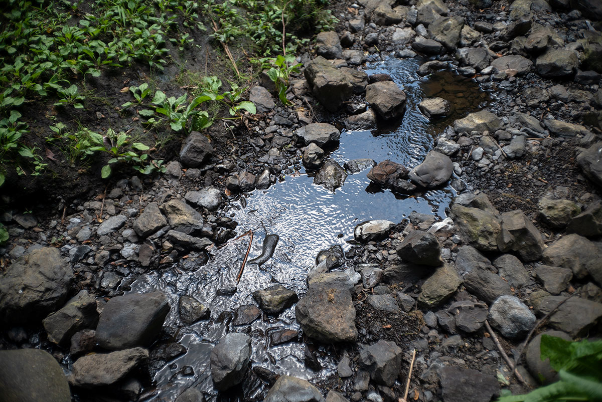 Kowa Optical Works Prominar F.C. 1:2.8 f=35mm で愛川町を撮影。